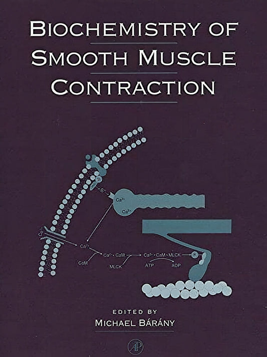 Biochemistry Of Smooth Muscle Contraction