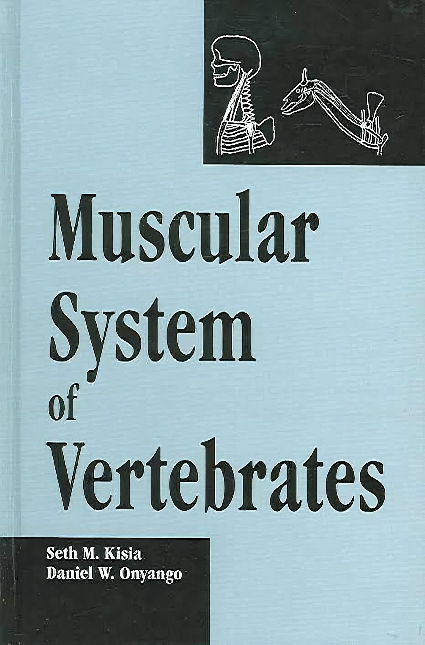 Muscular System Of Vertebrates