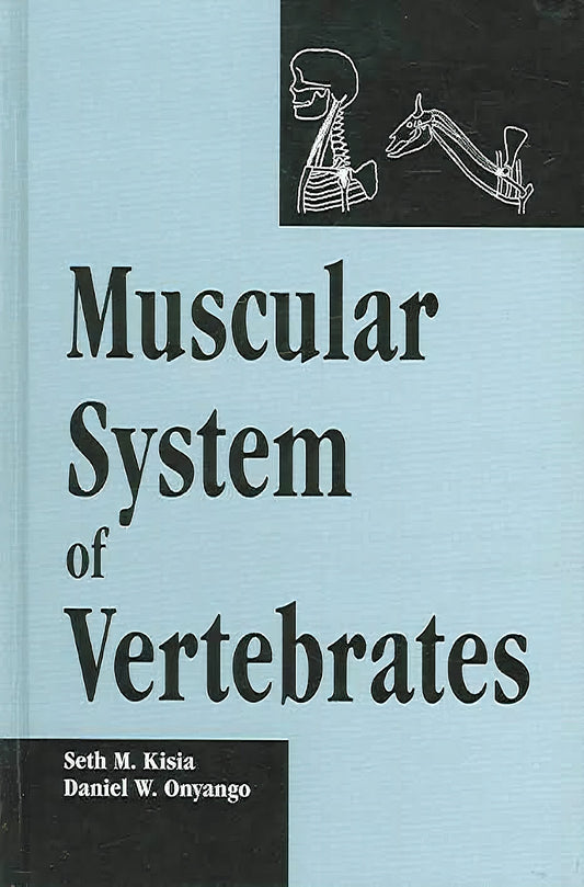 Muscular System Of Vertebrates