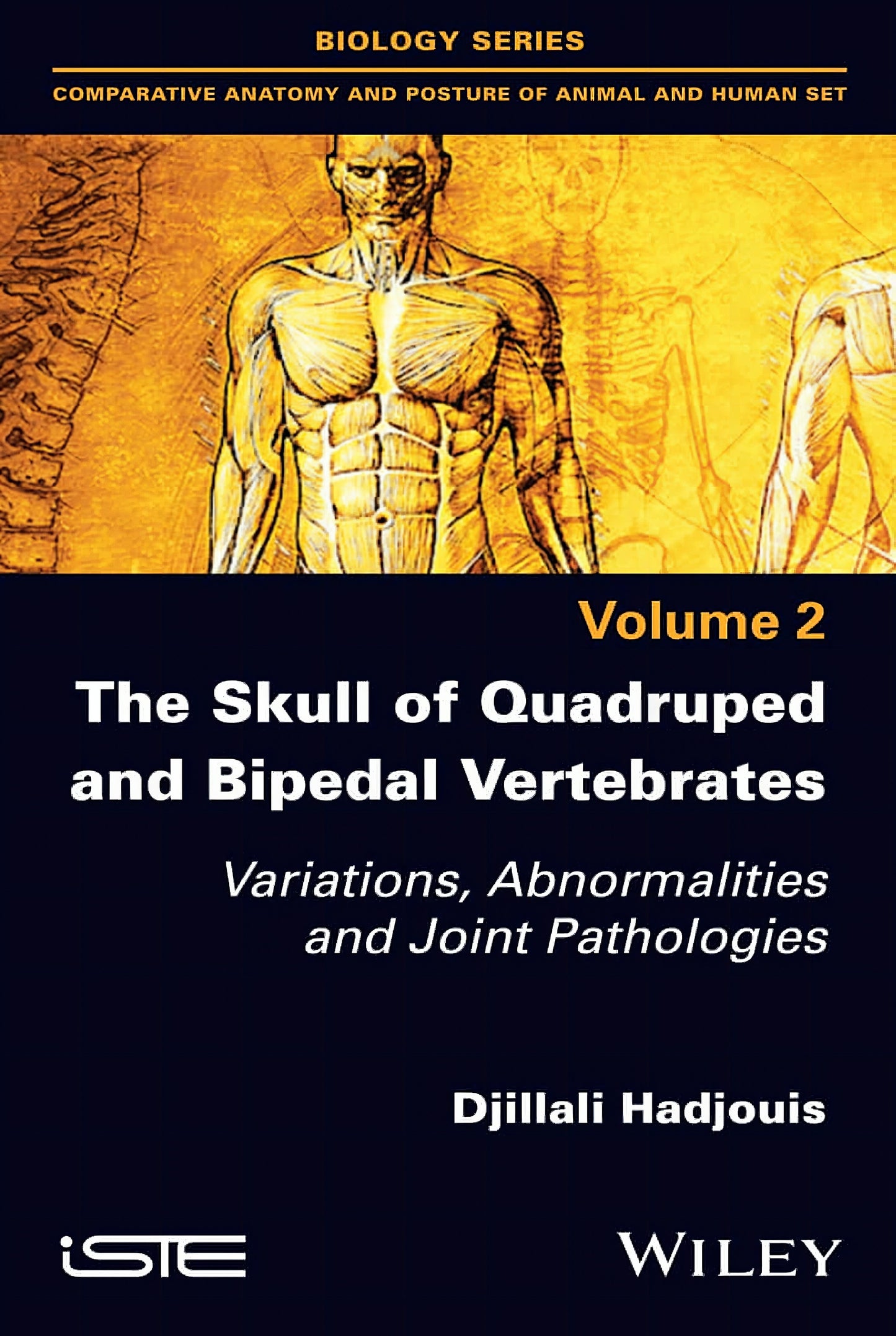 The Skull Of Quadruped And Bipedal Vertebrates Variations Abnormalities And Joint Pathologies