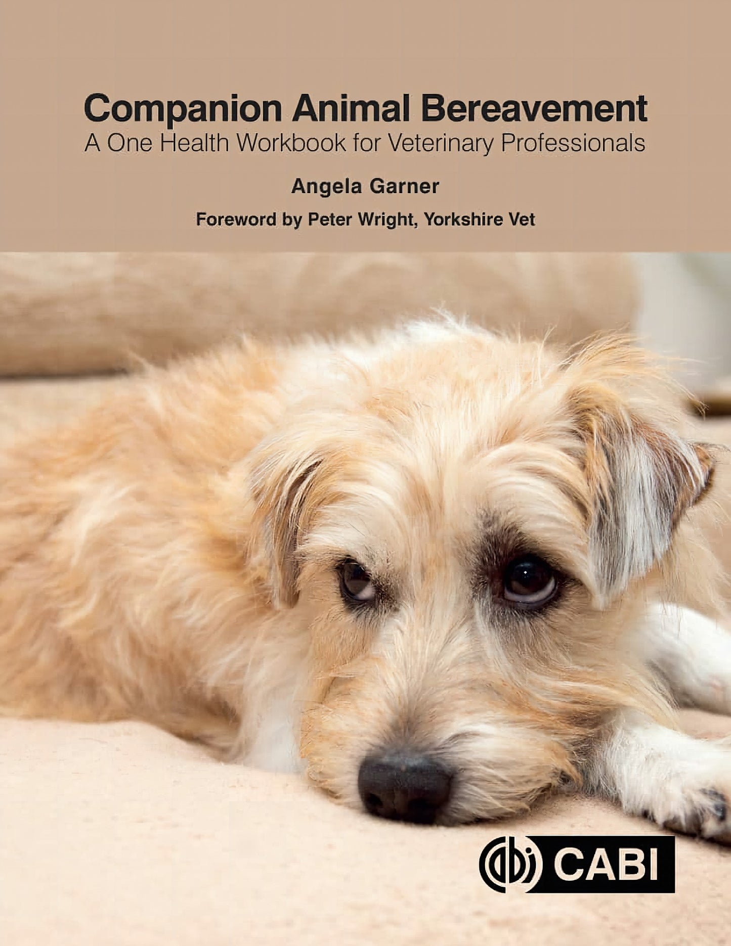 Companion Animal Bereavement A One Health Workbook For Veterinary Professionals