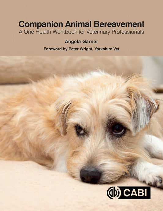 Companion Animal Bereavement A One Health Workbook For Veterinary Professionals