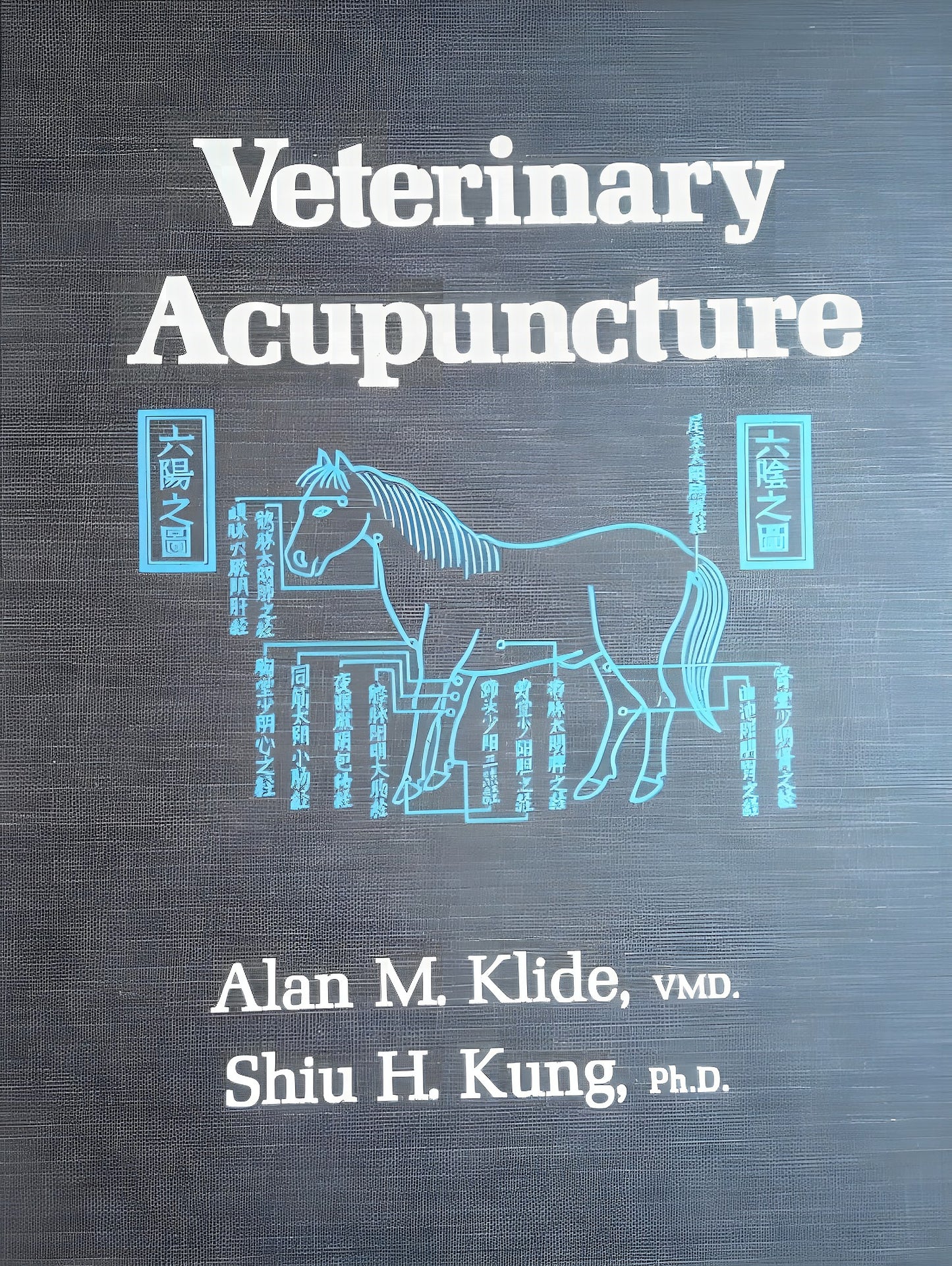 Veterinary Acupuncture Klide