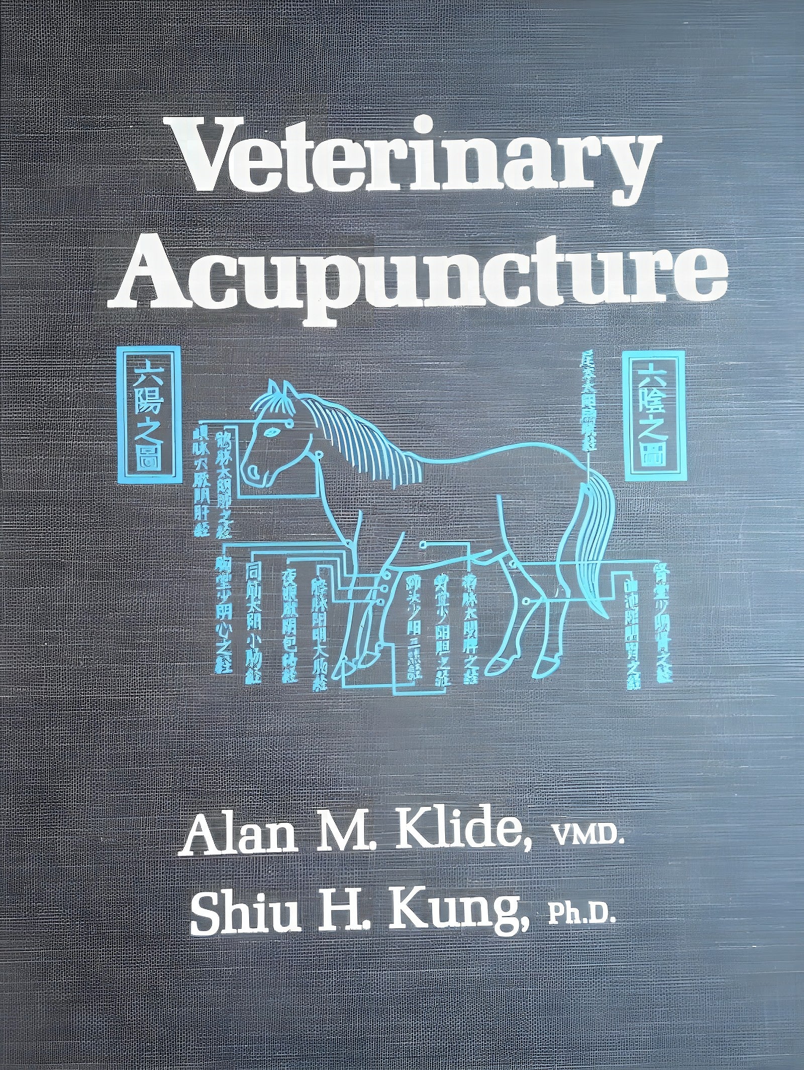 Veterinary Acupuncture Klide