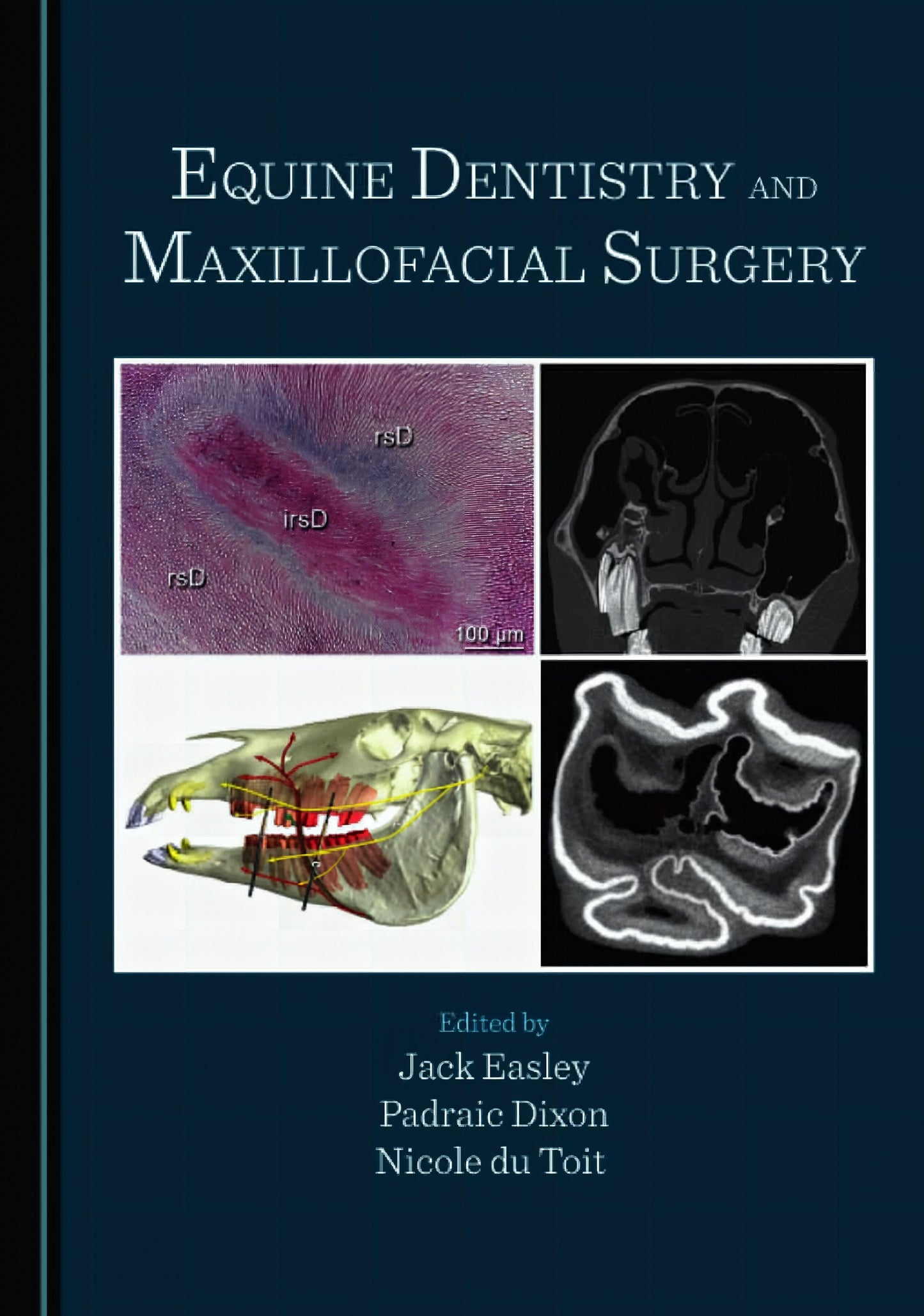 Equine Dentistry And Maxillofacial Surgery
