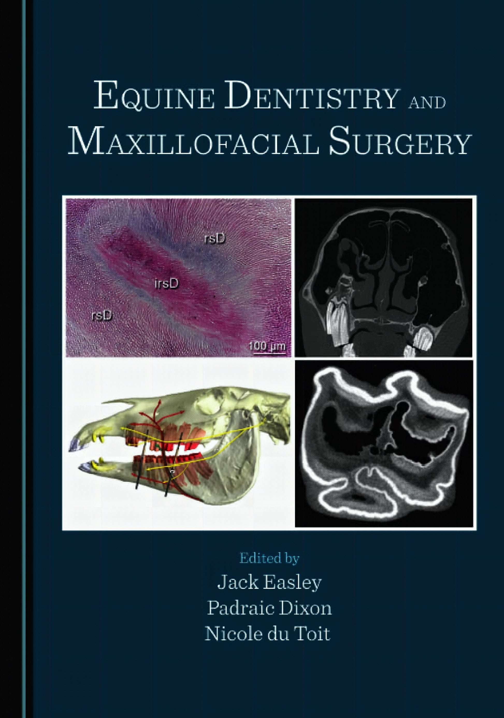 Equine Dentistry And Maxillofacial Surgery