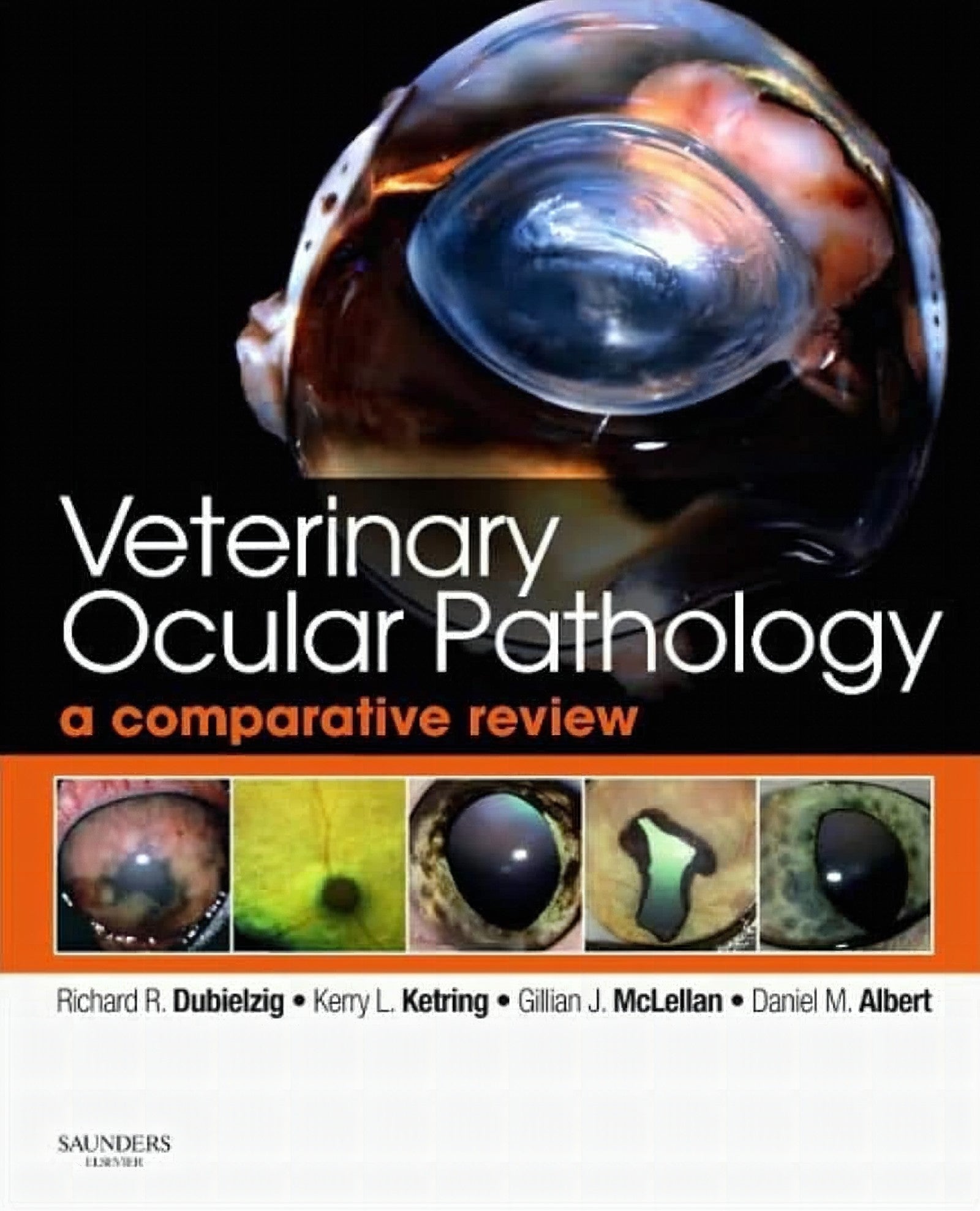 Veterinary Ocular Pathology A Comparative Review