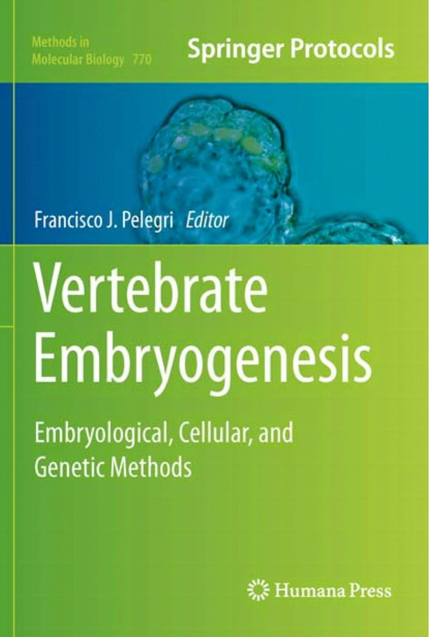 Vertebrate Embryogenesis Embryological Cellular And Genetic Methods