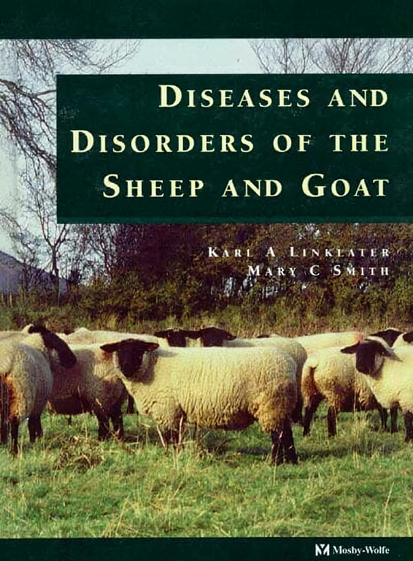Diseases And Disorders Of The Sheep And Goat