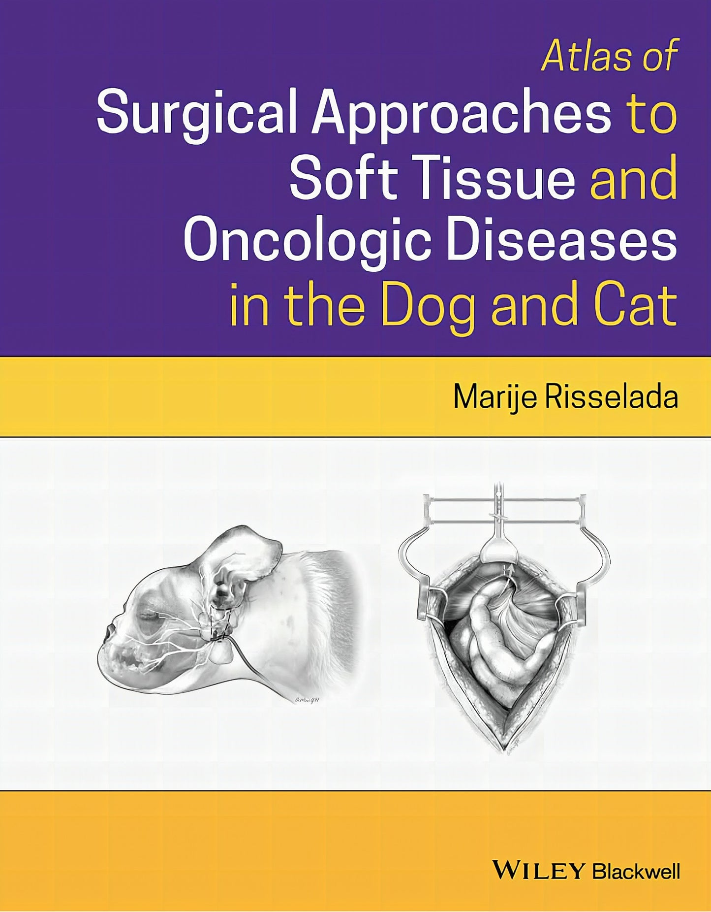 Atlas Of Surgical Approaches For Soft Tissue And Oncologic Diseases In The Dog And Cat