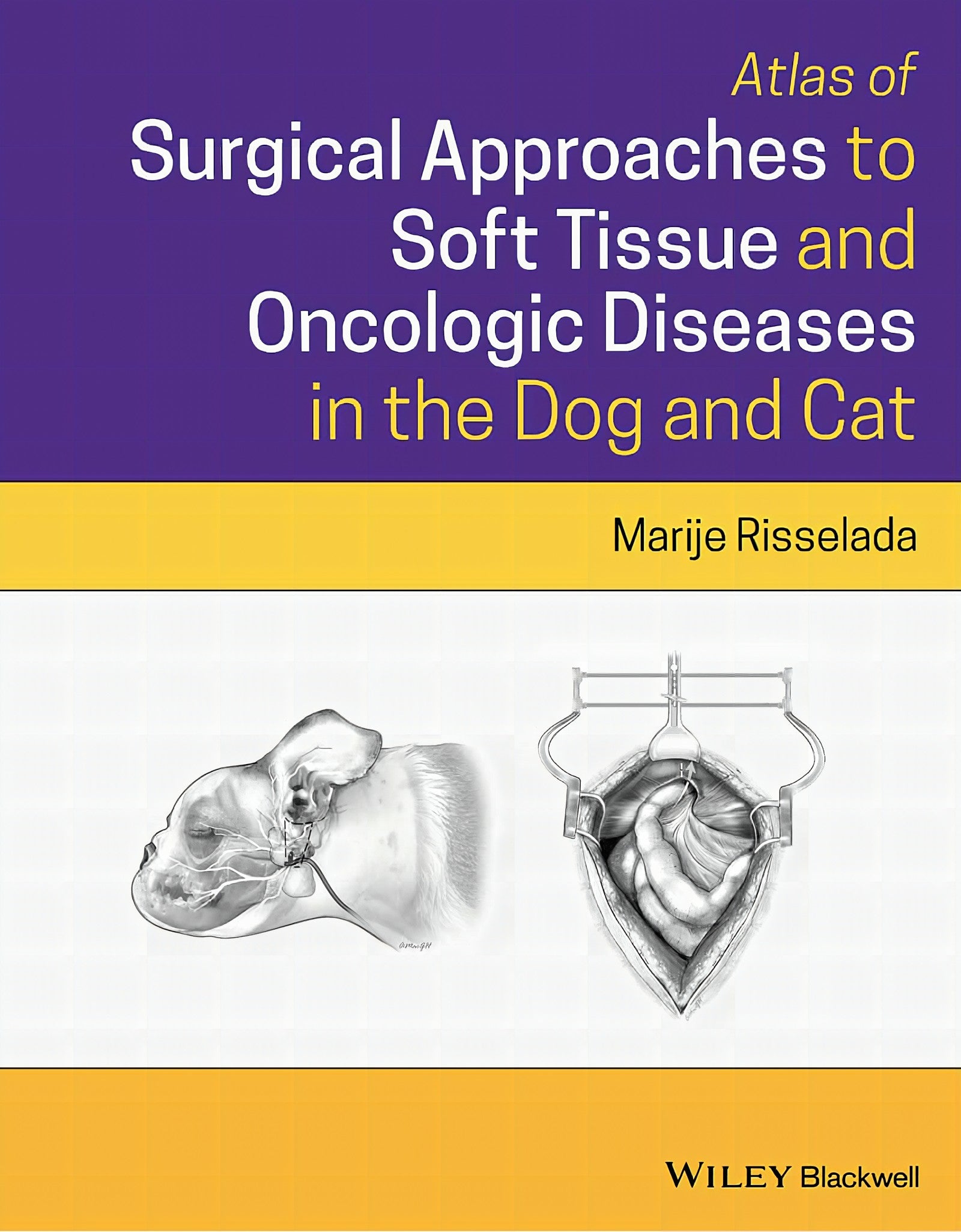 Atlas Of Surgical Approaches For Soft Tissue And Oncologic Diseases In The Dog And Cat