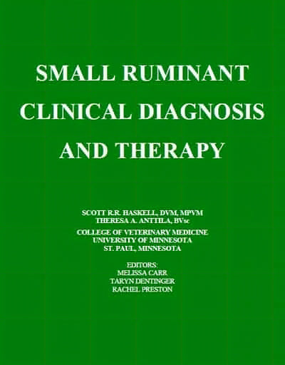 Small Ruminant Clinical Diagnosis And Therapy