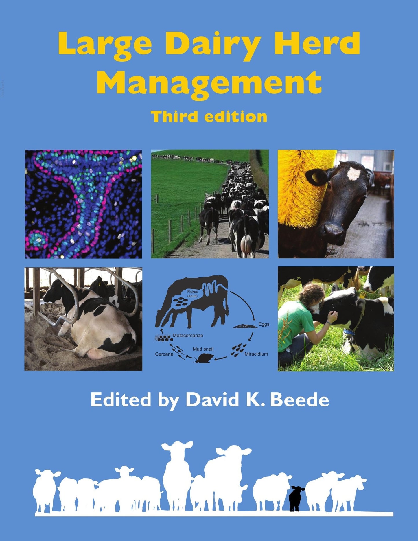 Large Dairy Herd Management 3Rd Edition