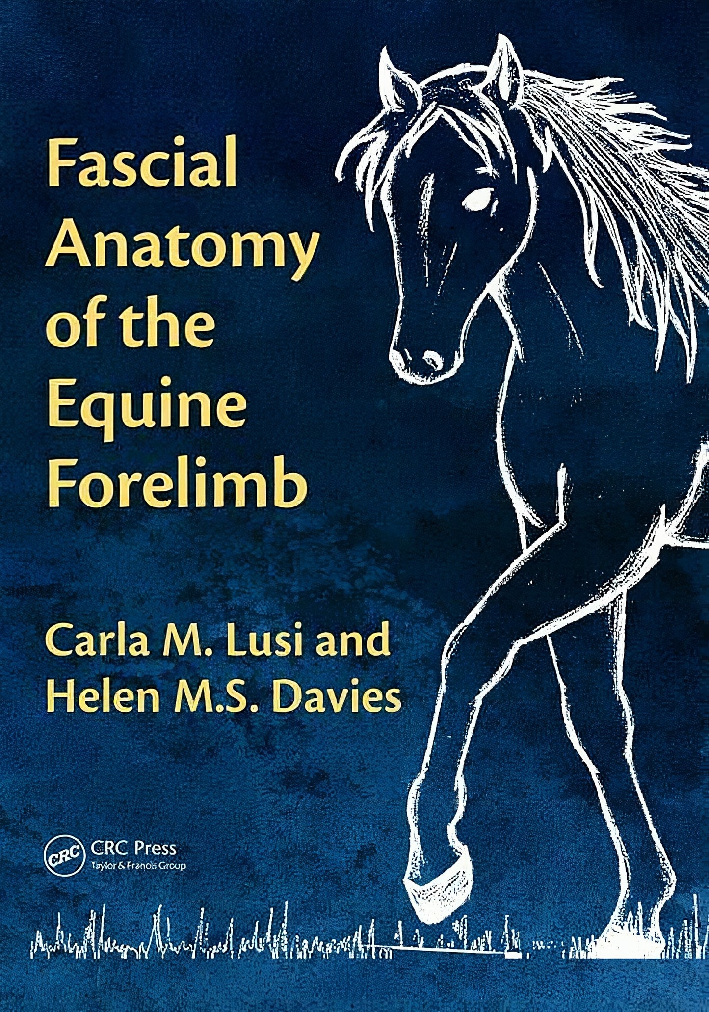 Fascial Anatomy Of The Equine Forelimb