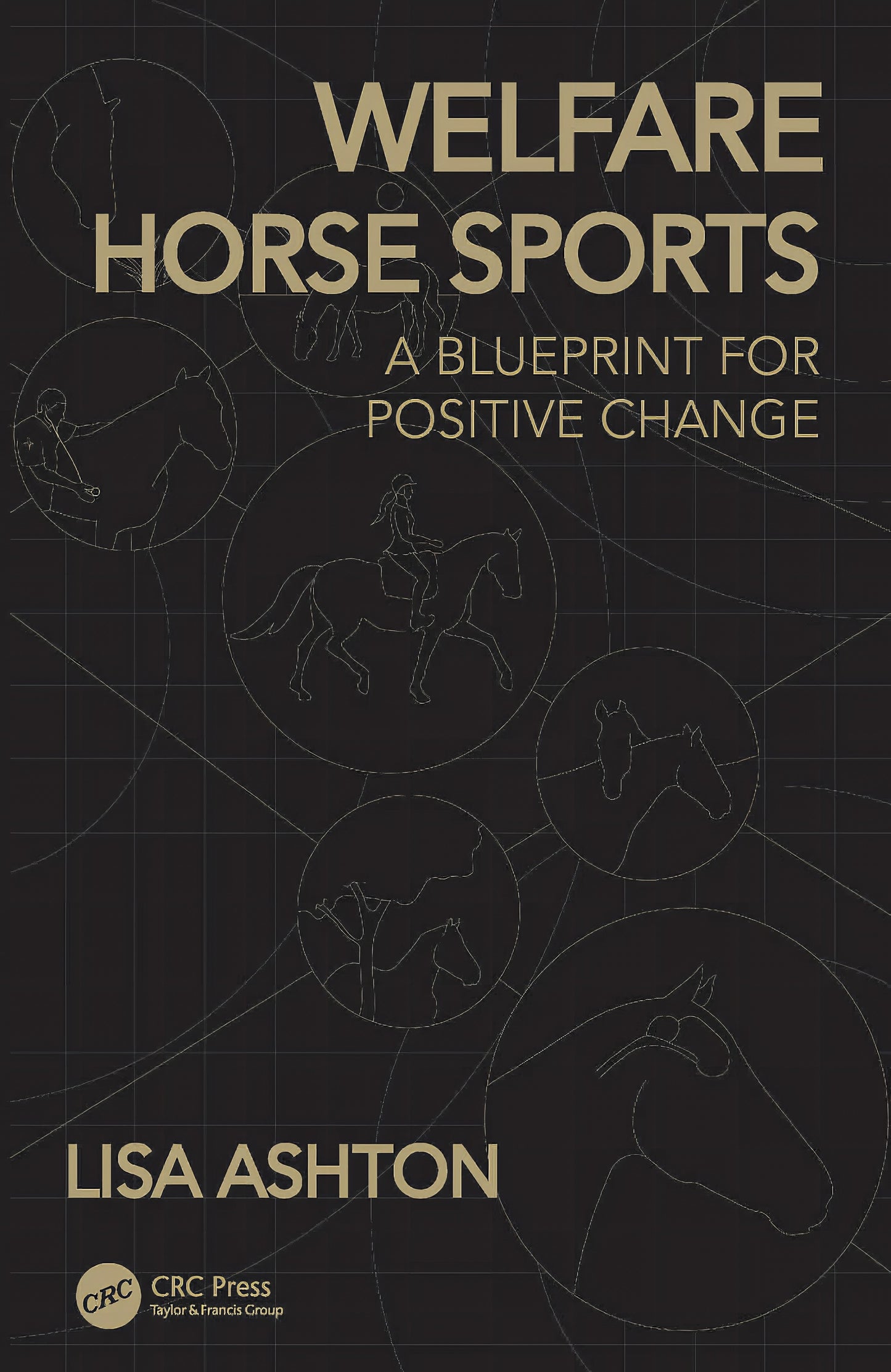 Welfare Horse Sports