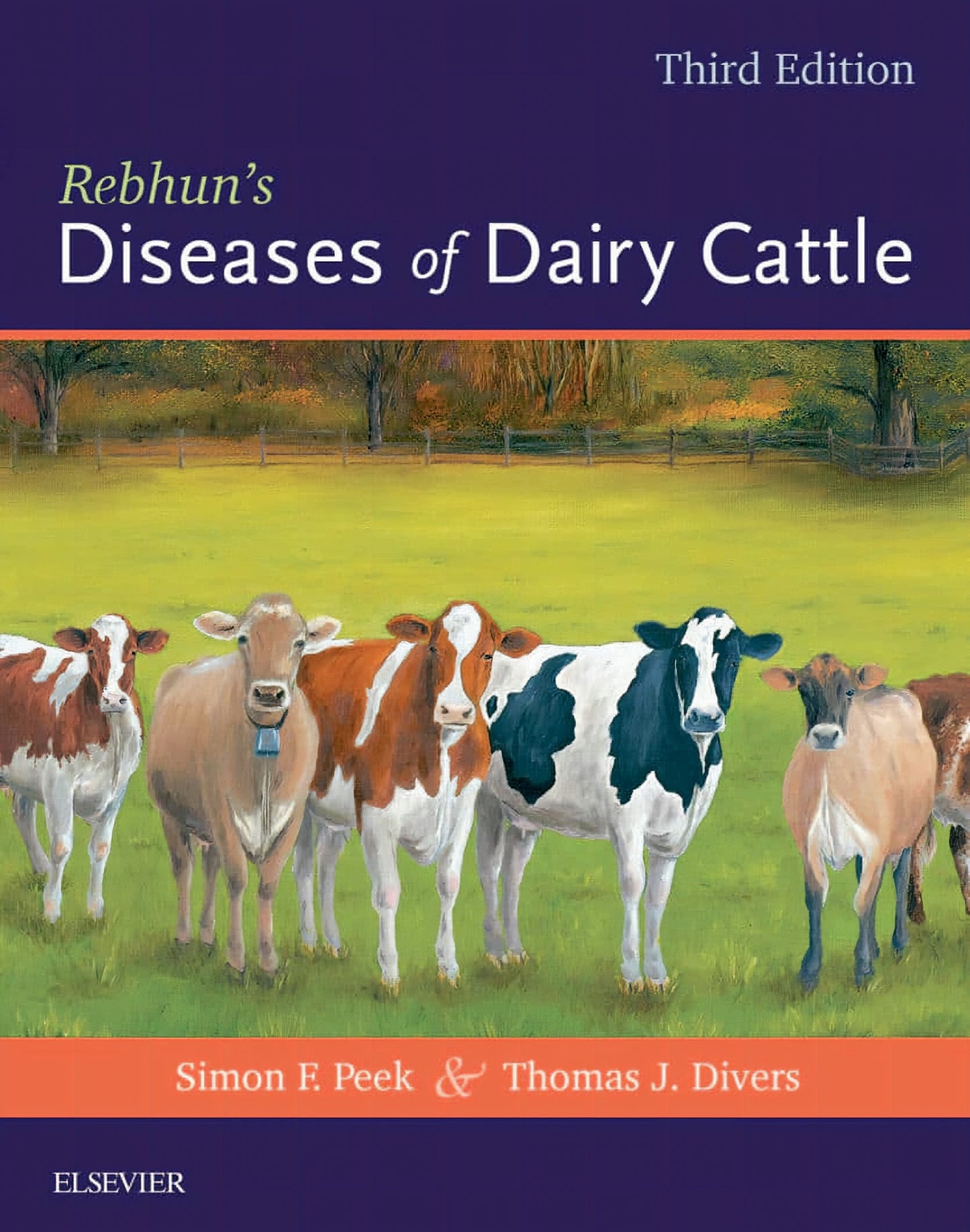 Rebhuns Diseases Dairy Cattle 2Nd Edition