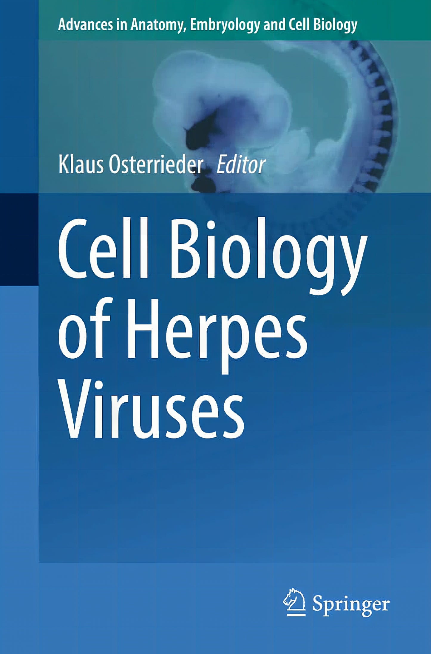 Cell Biology Of Herpes Viruses