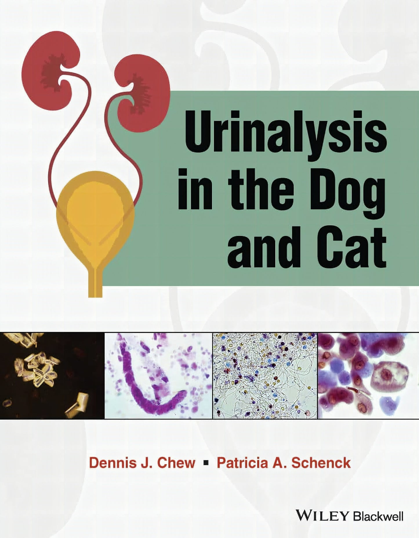 Urinalysis In The Dog And Cat
