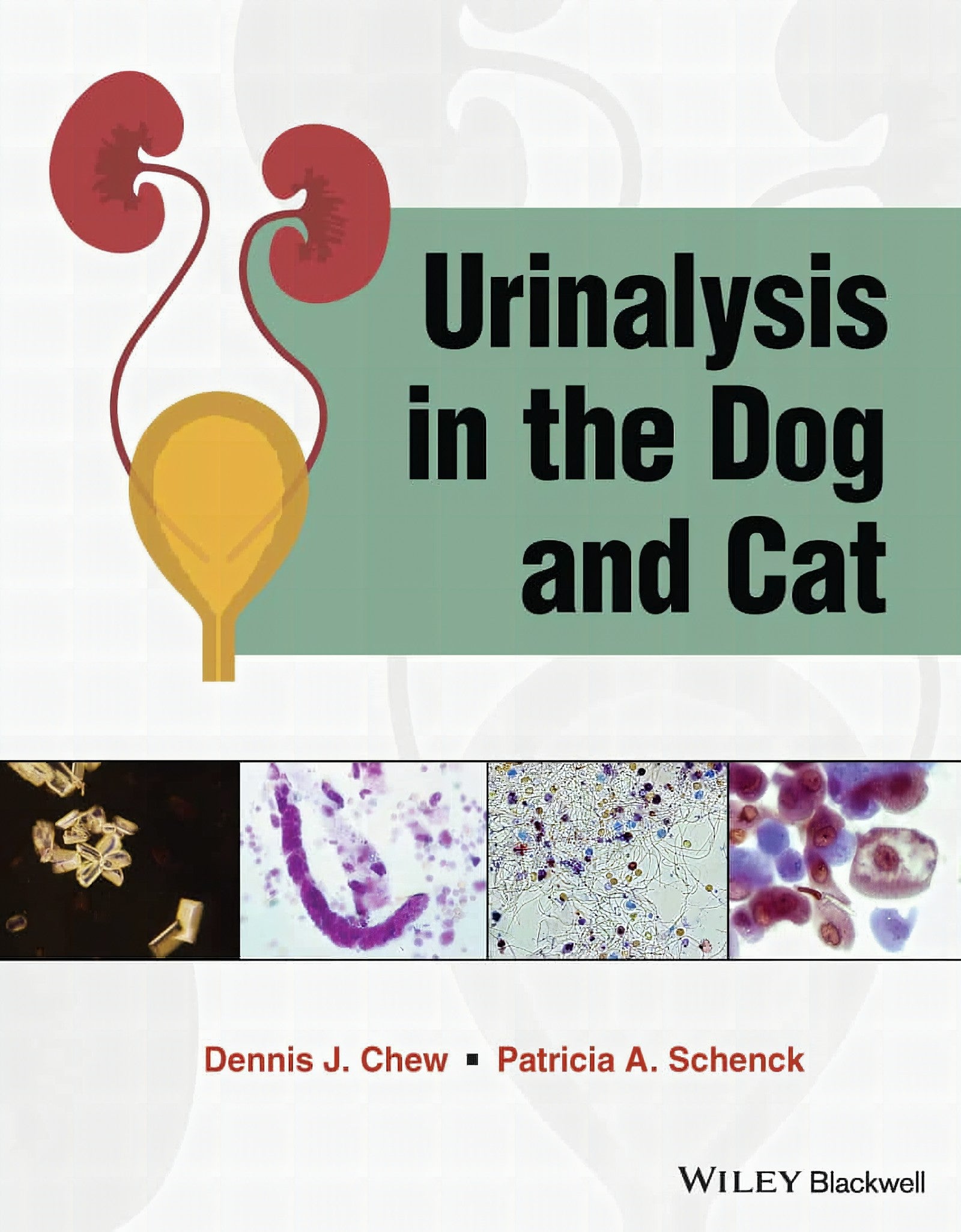 Urinalysis In The Dog And Cat