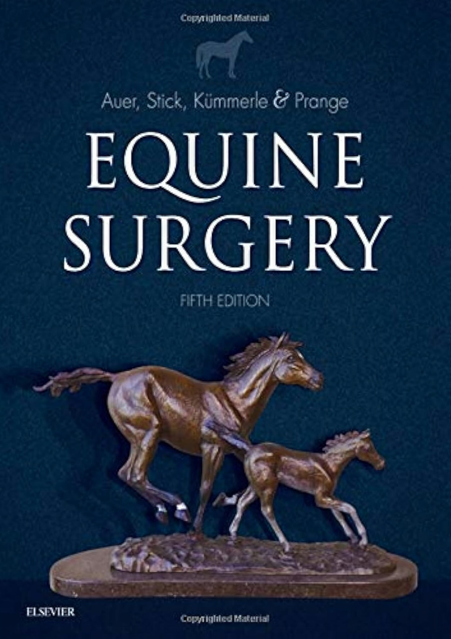 Equine Respiratory Medicine And Surgery