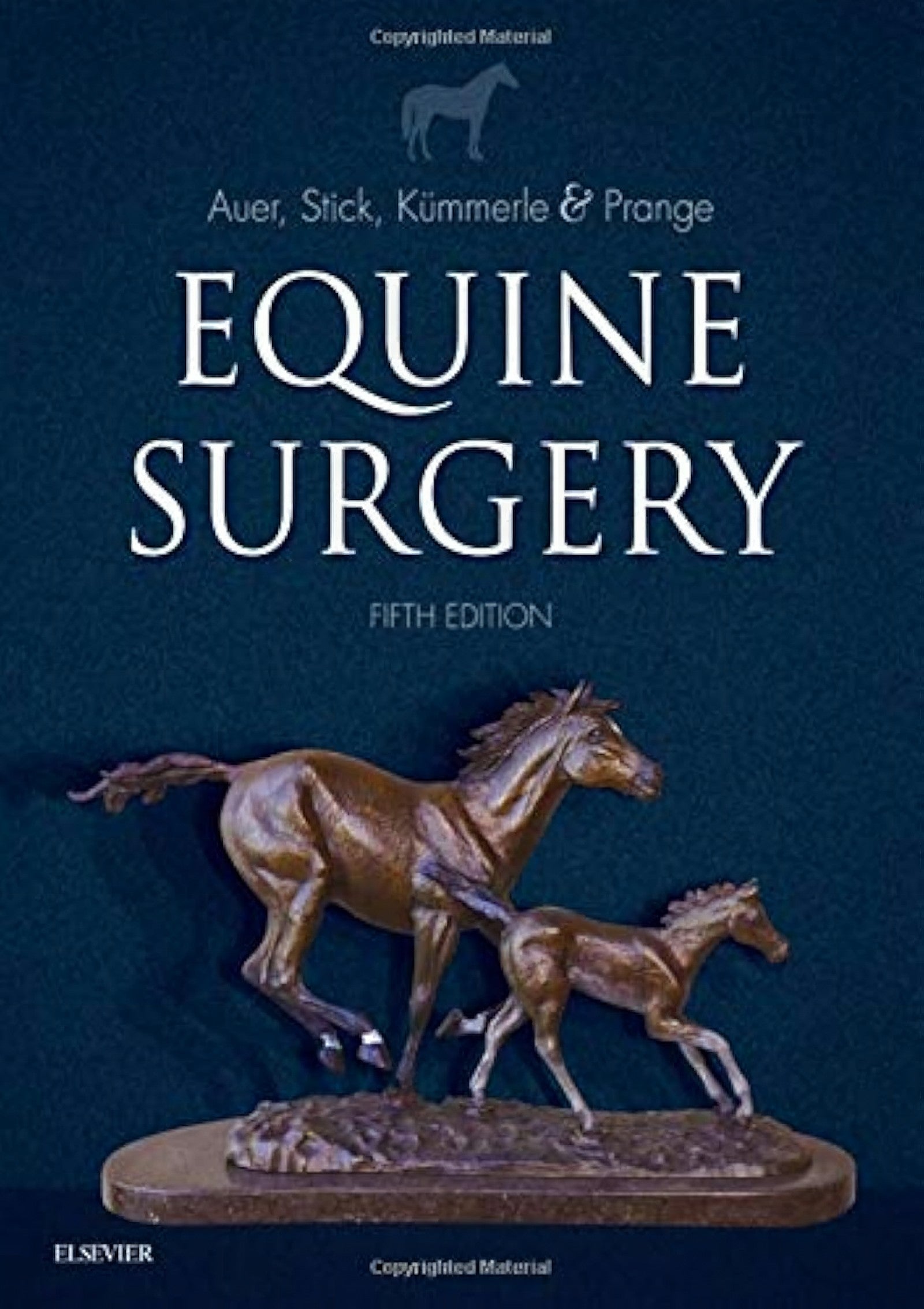Equine Respiratory Medicine And Surgery