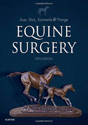 Equine Respiratory Medicine And Surgery