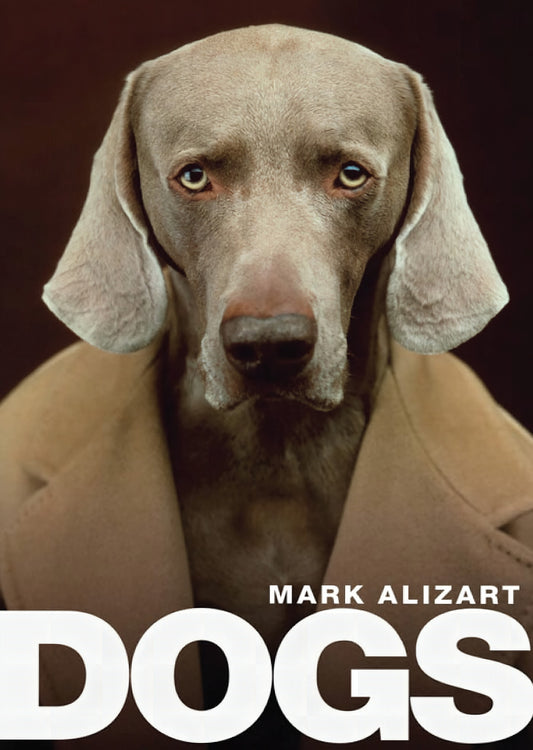 Dogs A Philosophical Guide To Our Best Friends