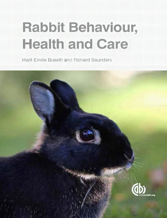 Rabbit Behaviour Health And Care