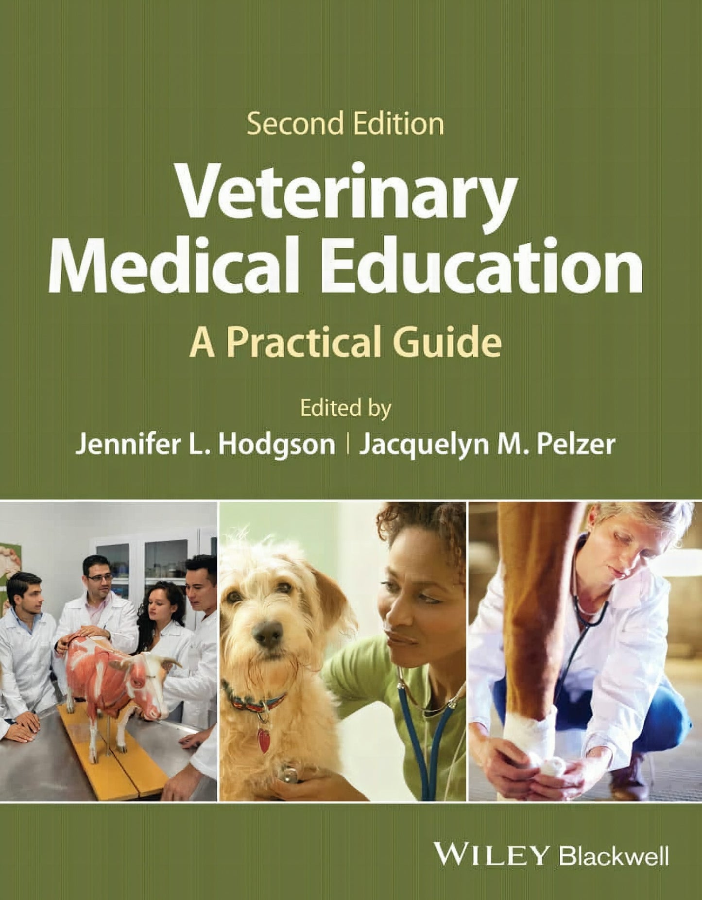 Veterinary Medical Education A Practical Guide