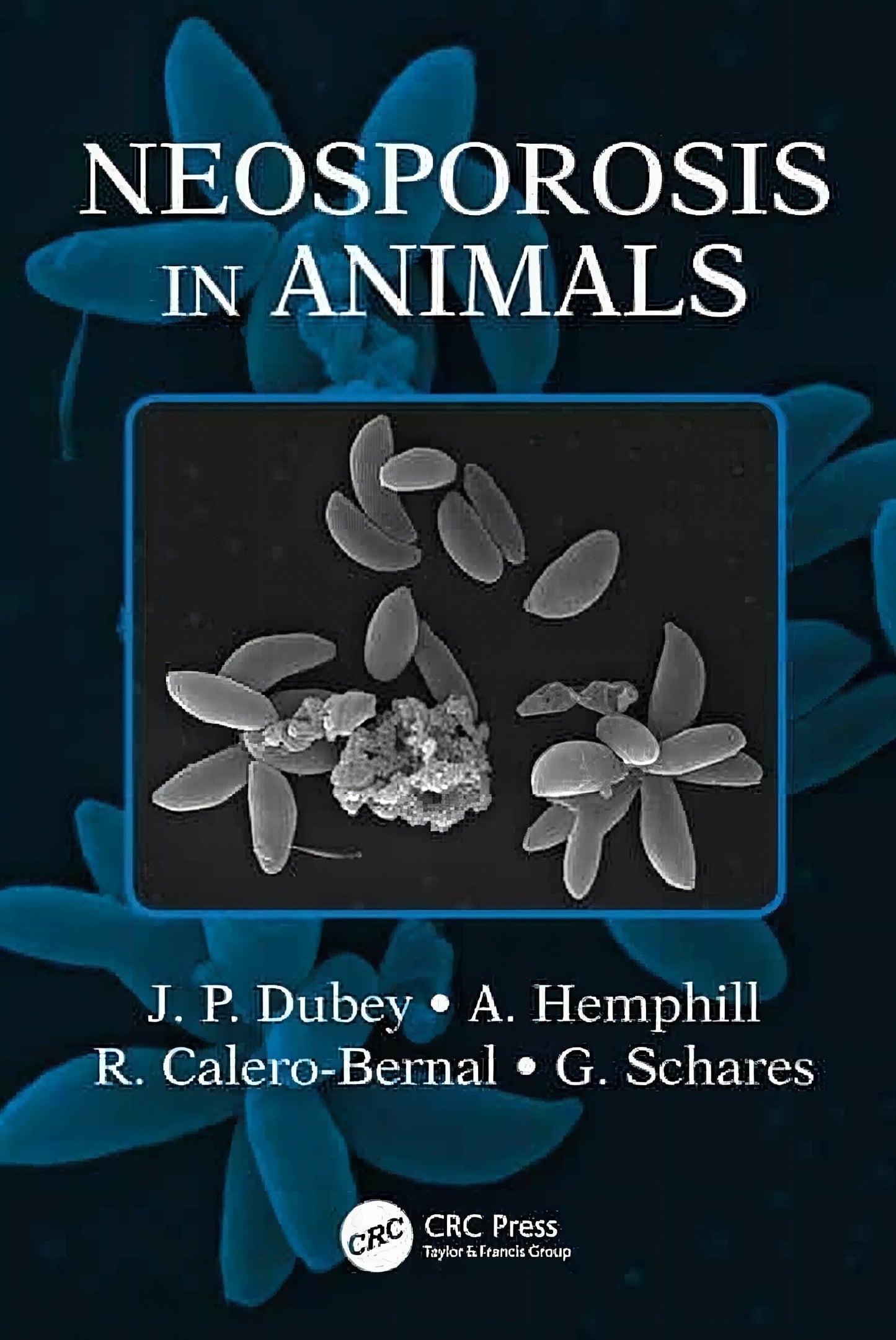 Neosporosis In Animals