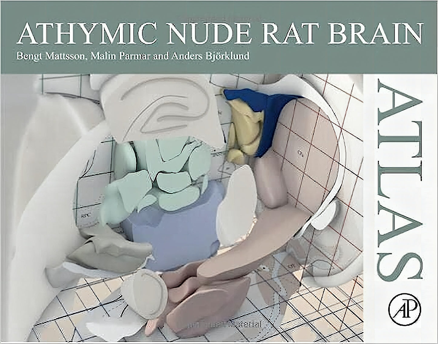 Athymic Nude Rat Brain Atlas
