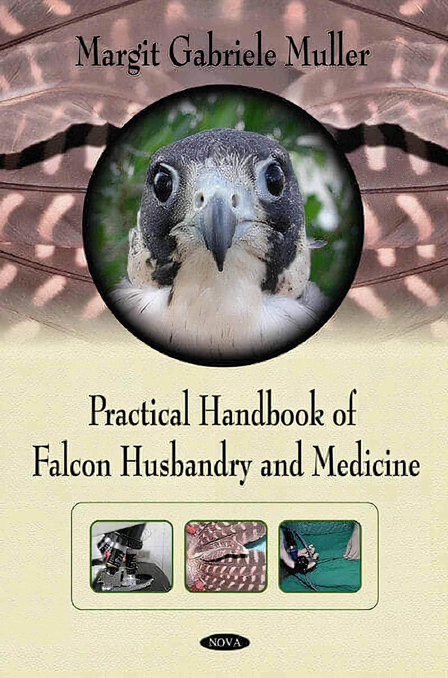 Practical Handbook Of Falcon Husbandry And Medicine