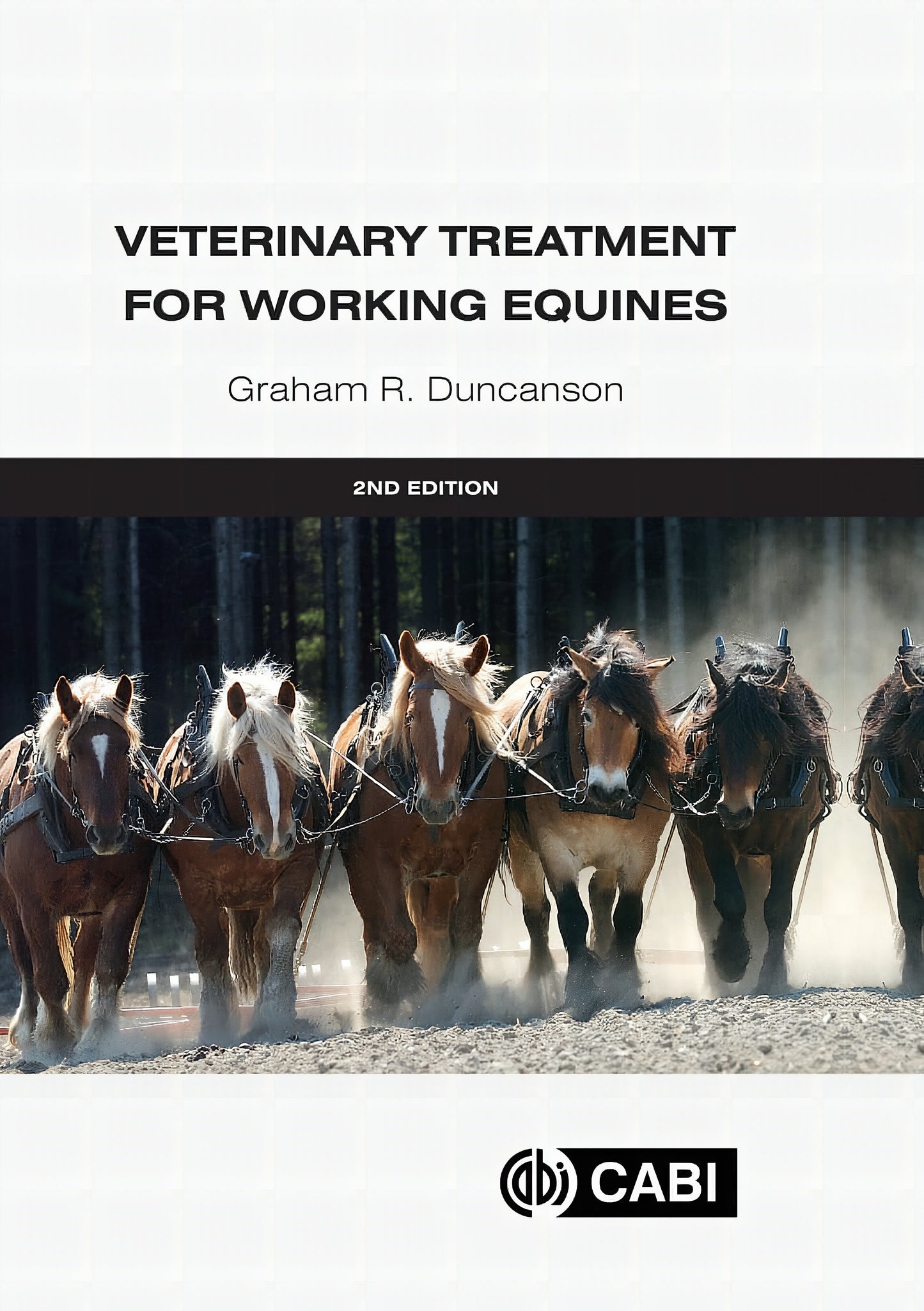 Veterinary Treatment For Working Equines