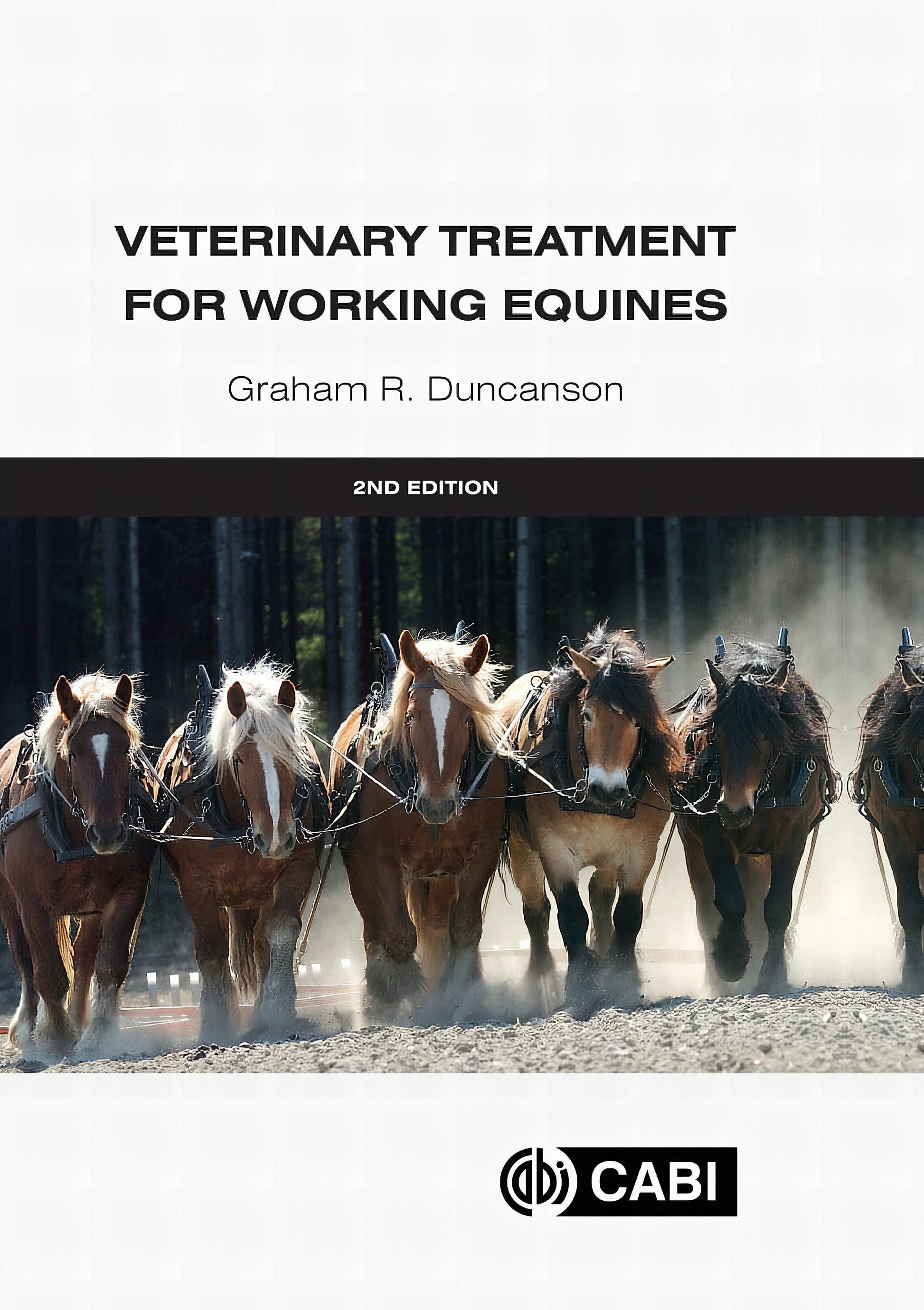 Veterinary Treatment For Working Equines