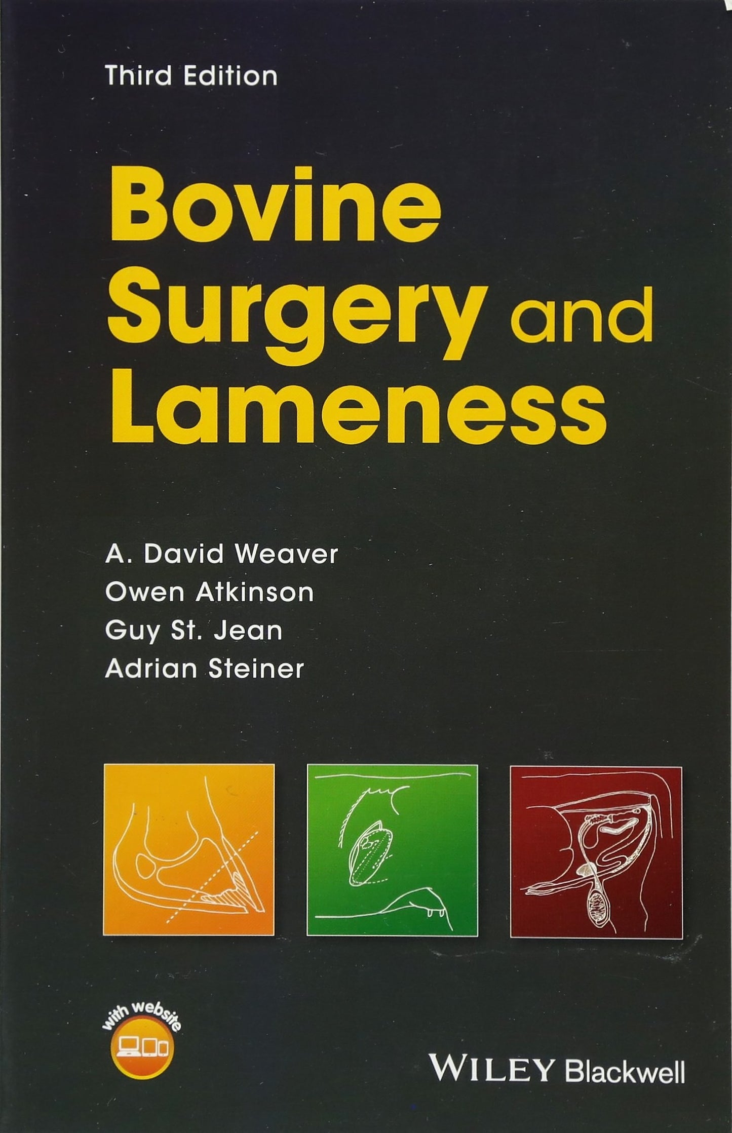 Bovine Surgery And Lameness 3Rd Edition