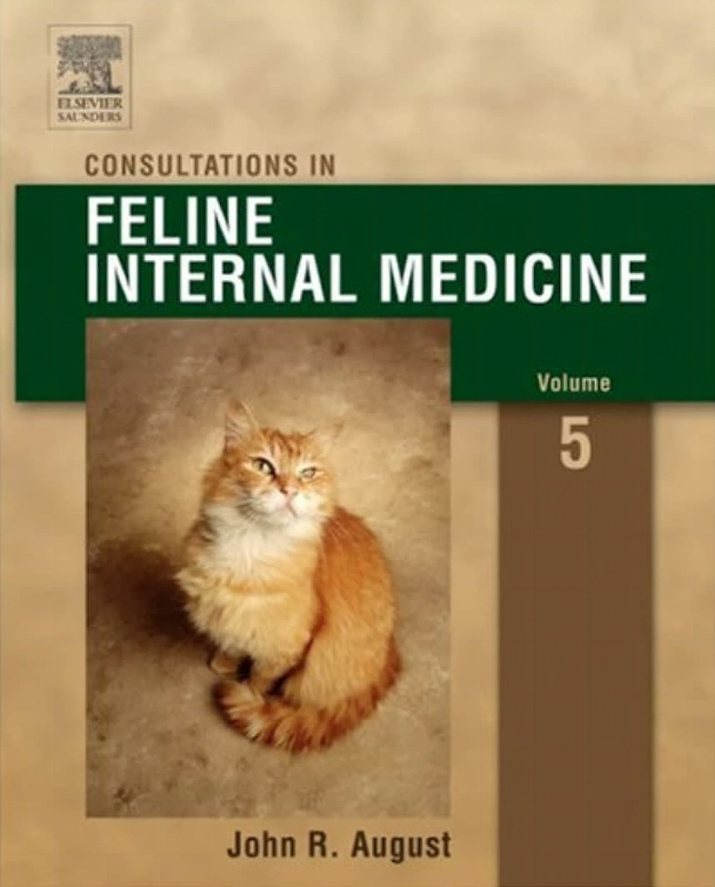 Consultations In Feline Internal Medicine 5Th Edition