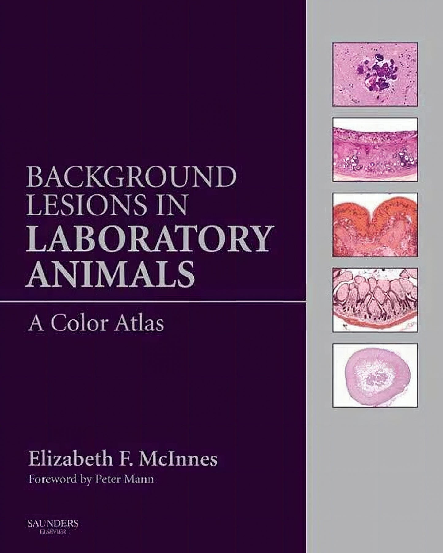 Background Lesions In Laboratory Animals A Color Atlas