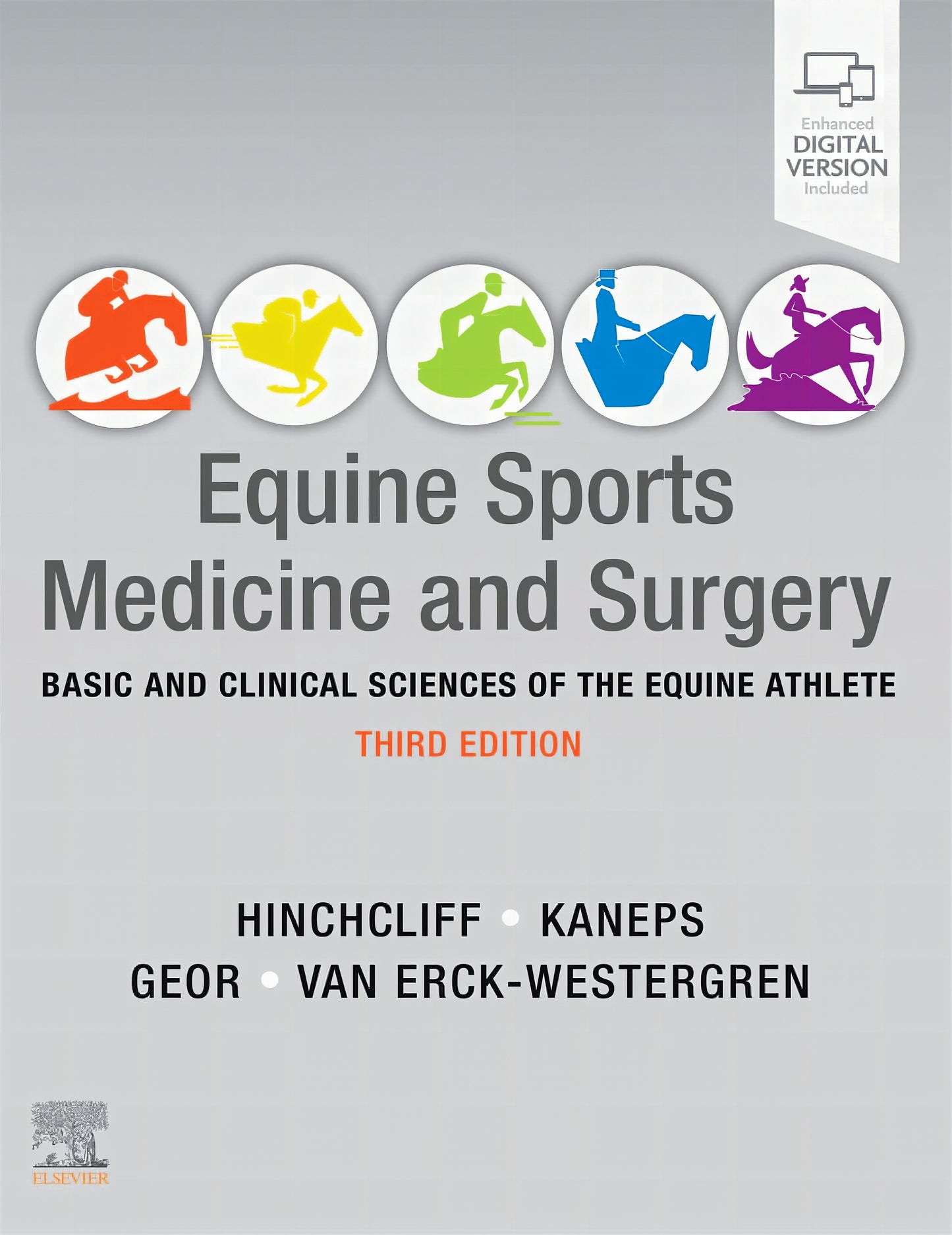 Equine Sports Medicine And Surgery