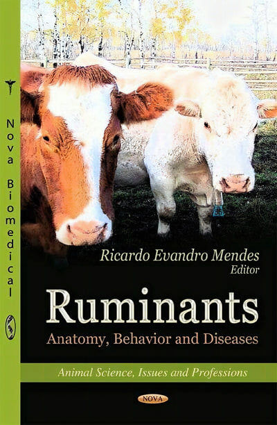 Ruminants Anatomy Behavior And Diseases