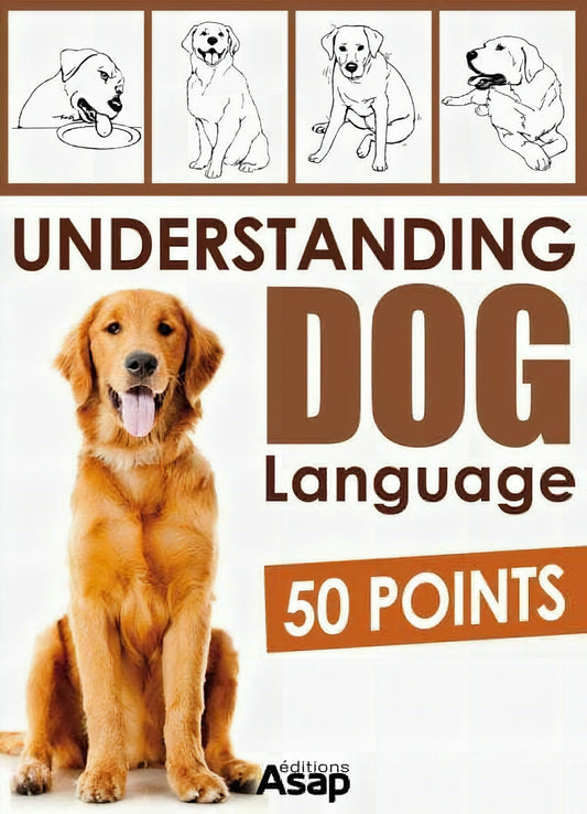 Understanding Dog Language 50 Points