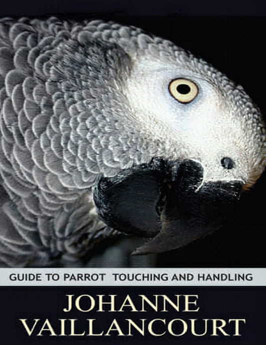 Guide To Parrot Touching And Handling