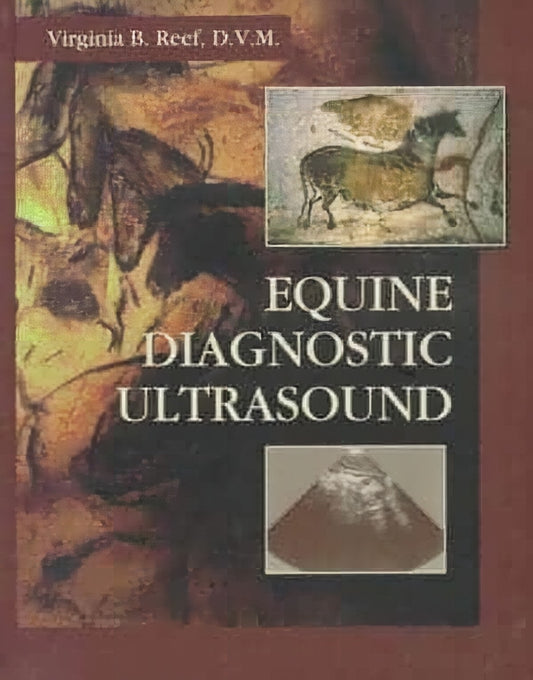 Equine Diagnostic Ultrasound