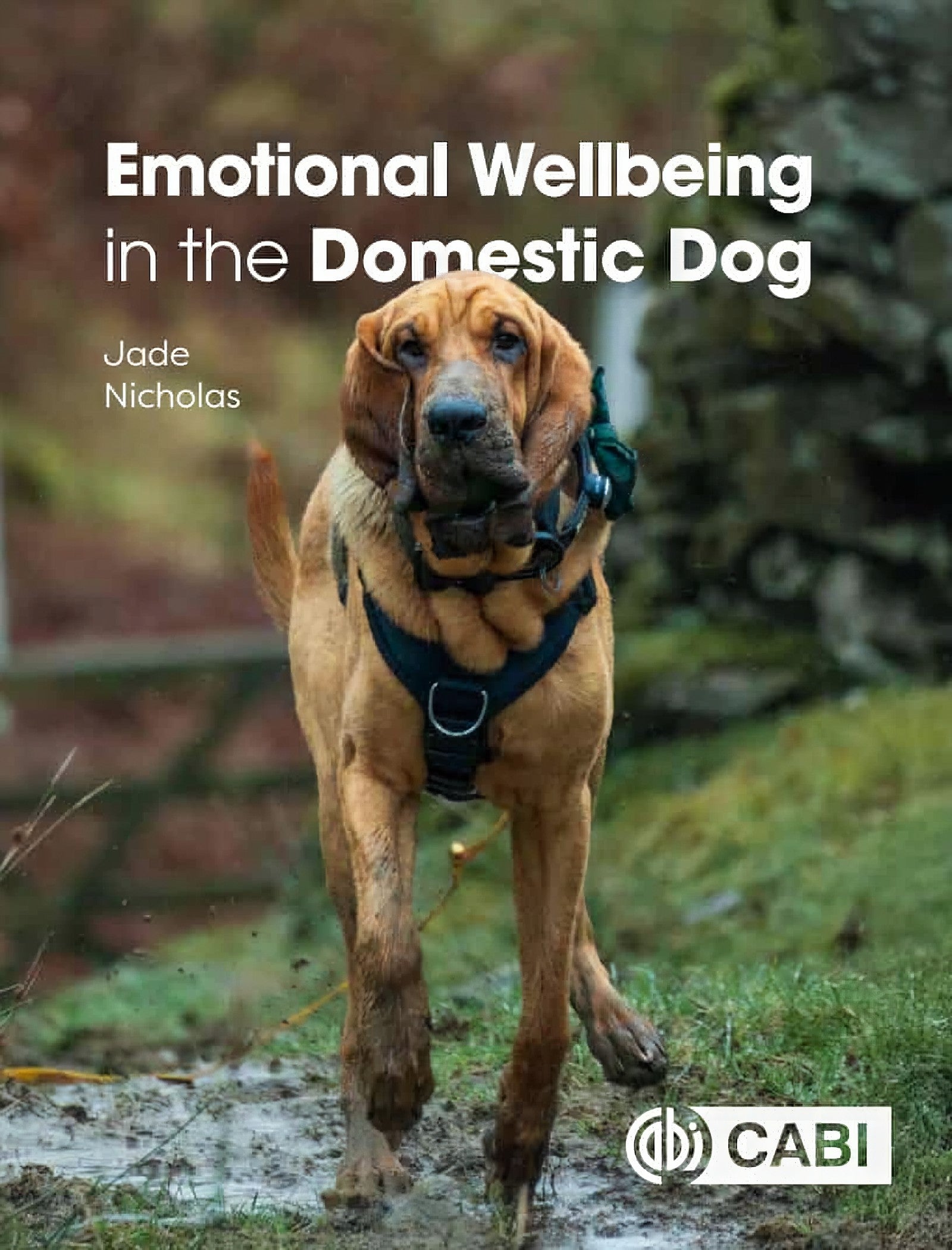 Emotional Wellbeing In The Domestic Dog