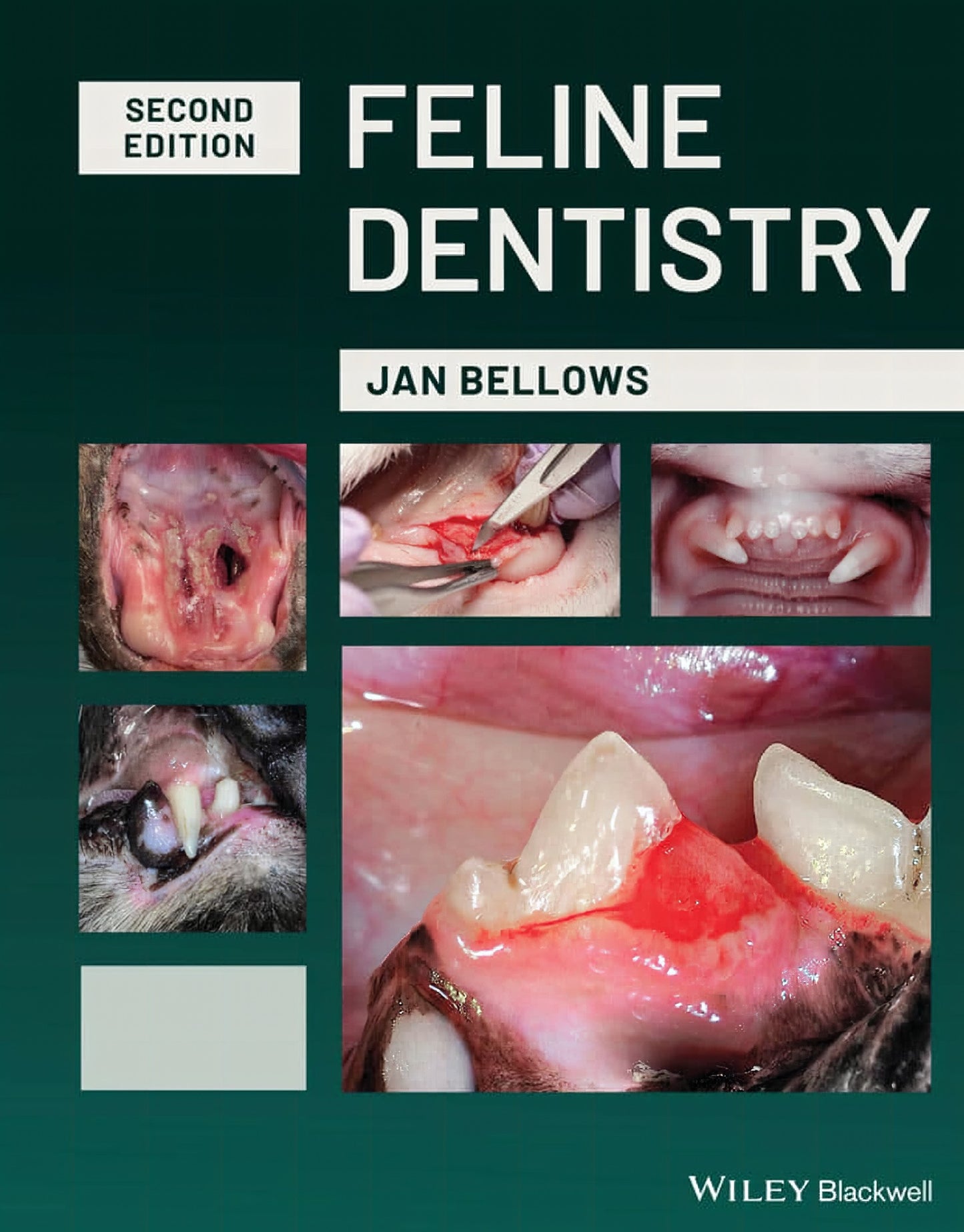 Feline Dentistry 2Nd Edition