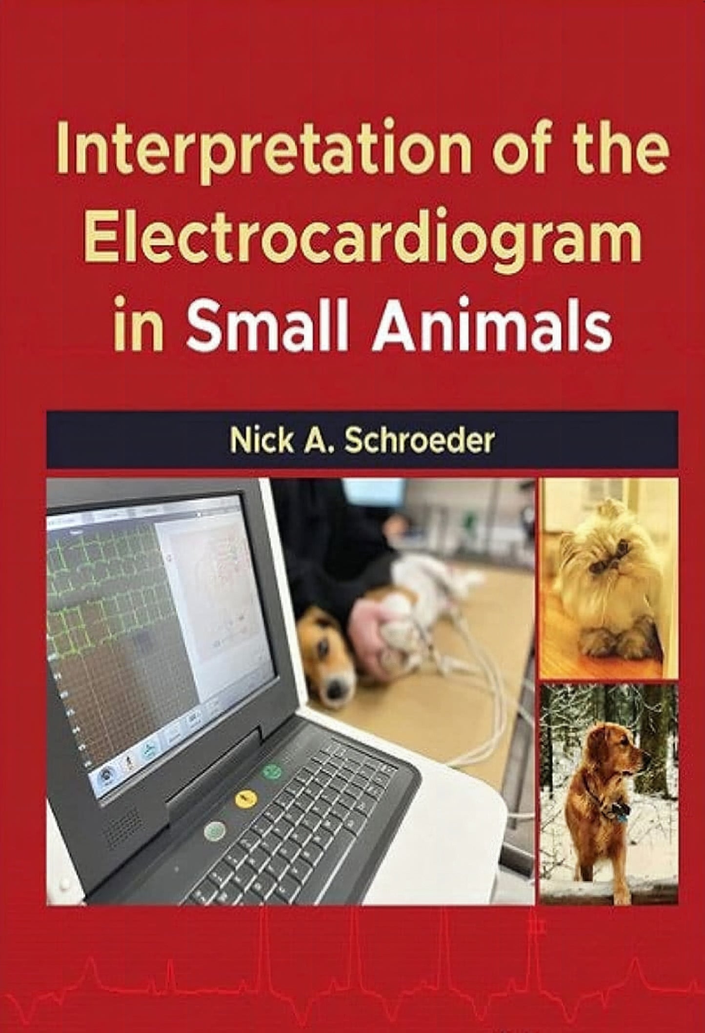 Interpretation Of The Electrocardiogram In Small Animals
