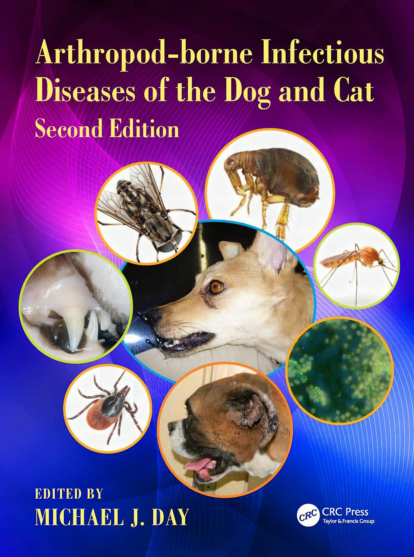 Arthropod Borne Infectious Diseases Dog Cat 2Nd Edition