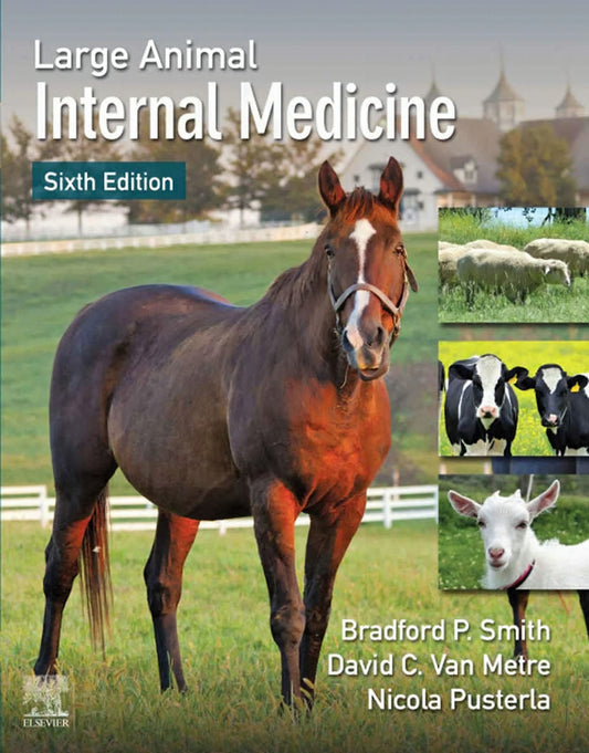 Large Animal Internal Medicine 6Th Edition