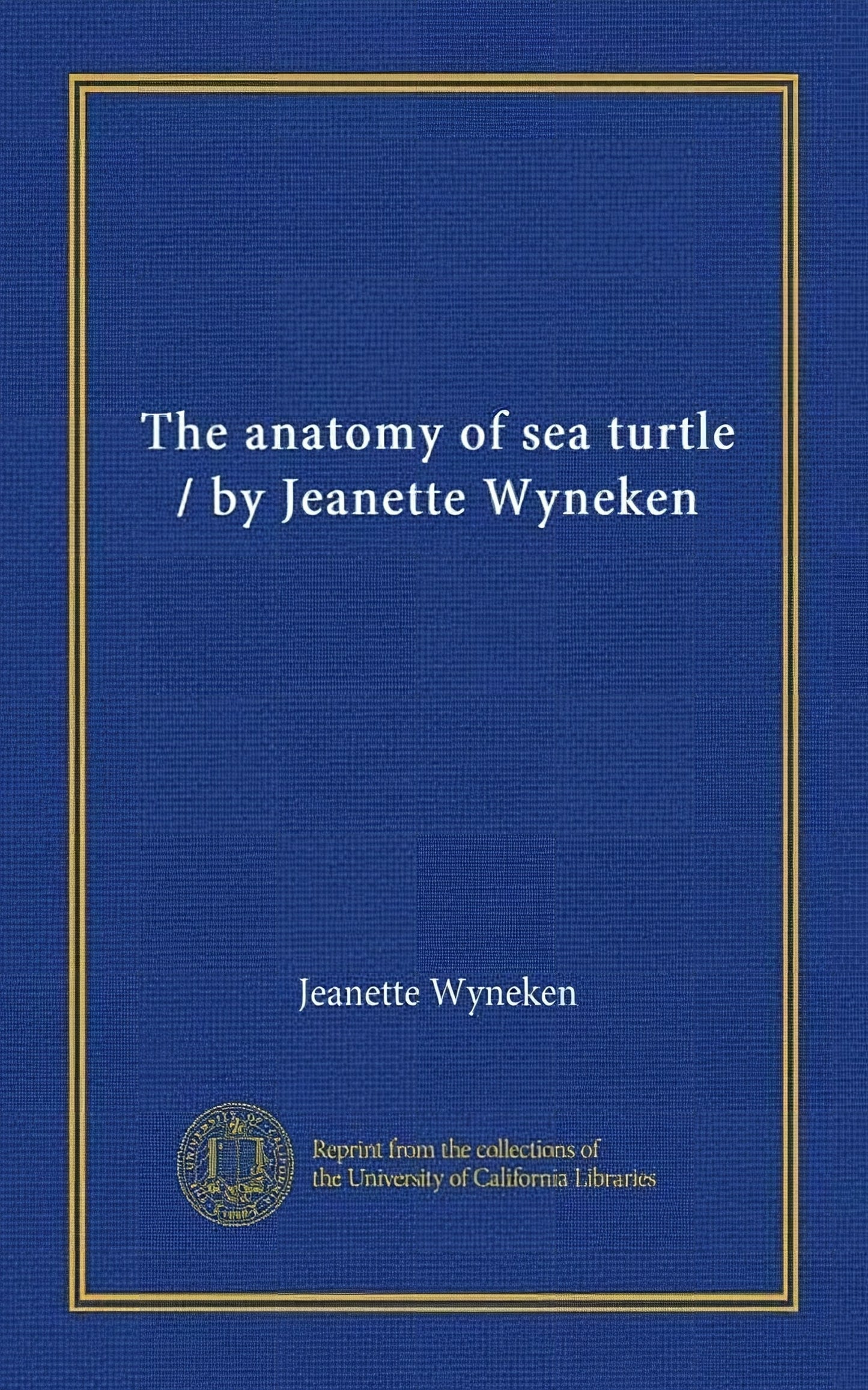 The Anatomy Of Sea Turtles