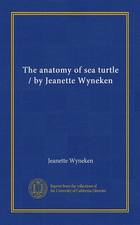 The Anatomy Of Sea Turtles