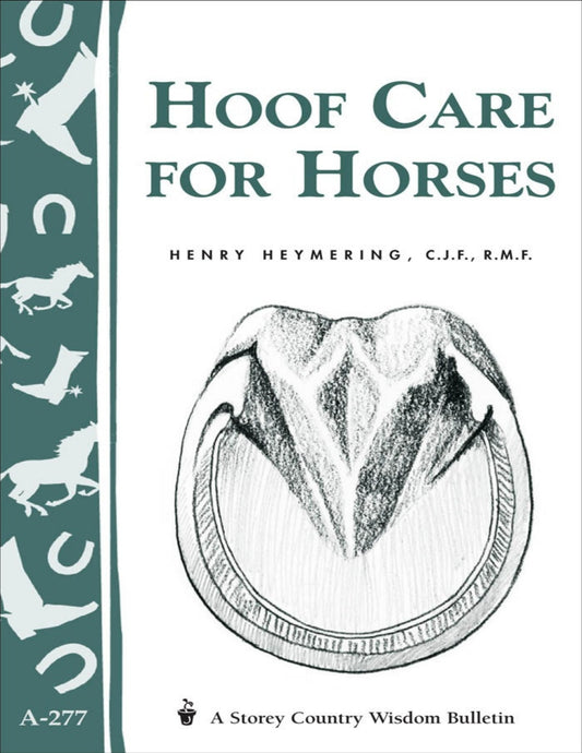 Hoof Care For Horse